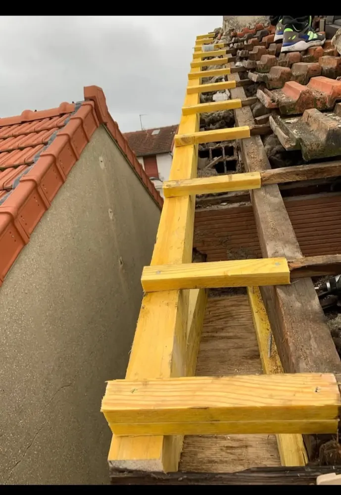 original-3C729AB5-F10D-4BDB-95D7-CACF7EEB910C